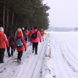 31.01.2026  XXXIV Marsz pieszy i narciarski